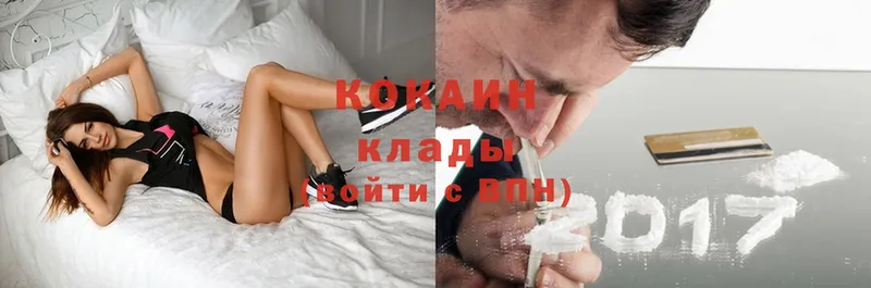 COCAIN FishScale  как найти наркотики  Касимов 