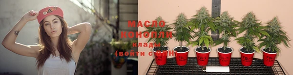 мет Новозыбков