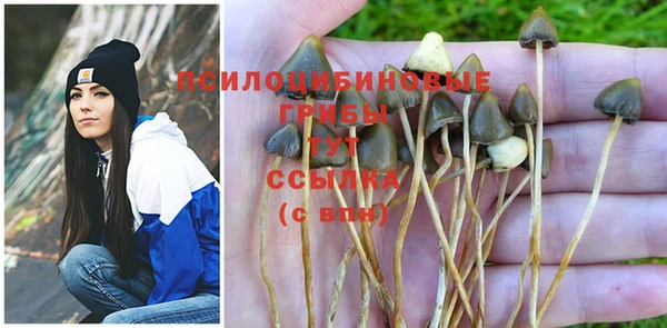 ГАЛЛЮЦИНОГЕННЫЕ ГРИБЫ Нея