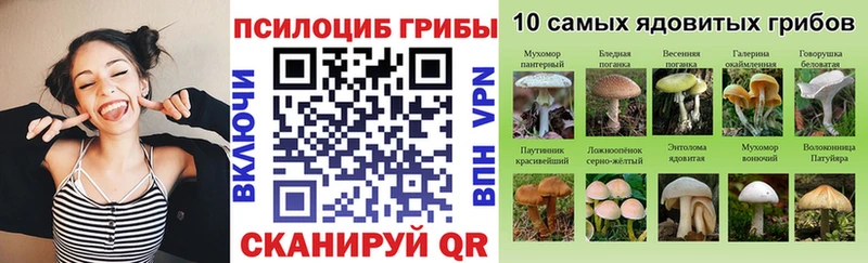 сколько стоит  Касимов  Галлюциногенные грибы мухоморы 
