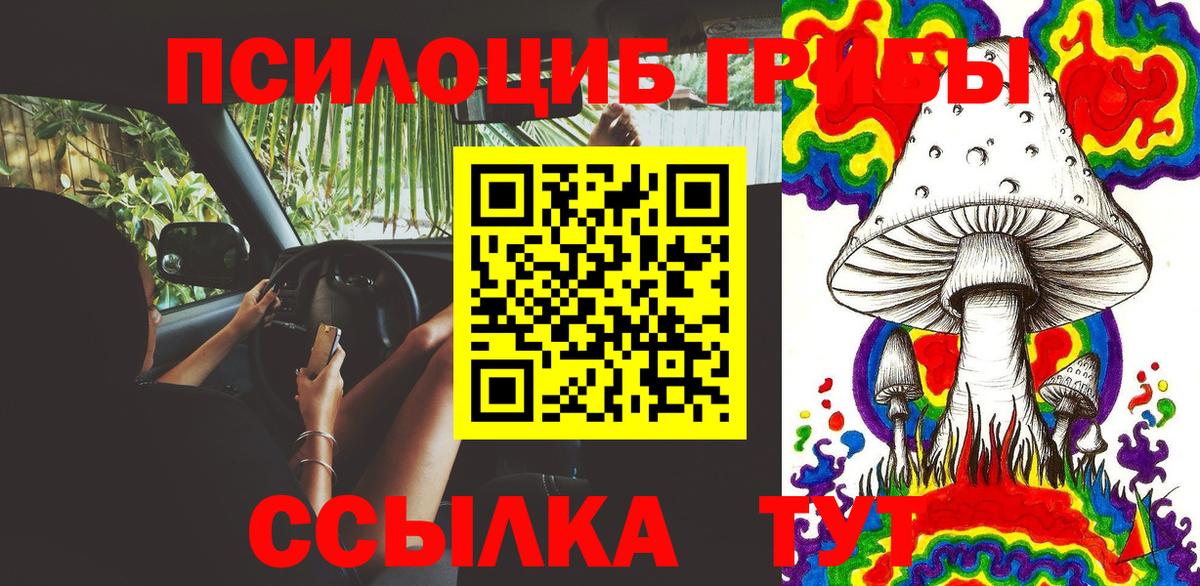 Псилоцибиновые грибы мухоморы  Касимов 