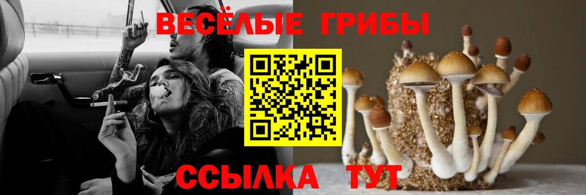 Псилоцибиновые грибы мухоморы Касимов