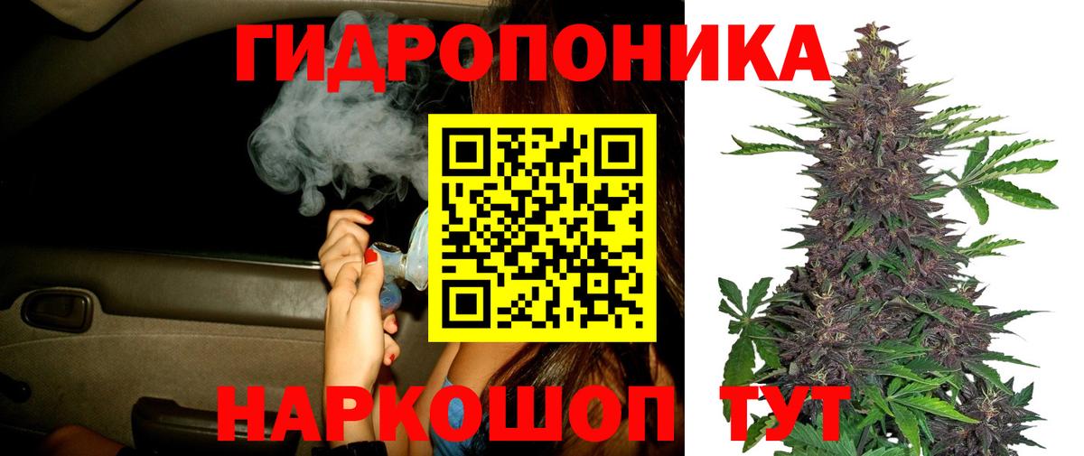 Бошки Шишки Bruce Banner  Вход с VPN  Каннабис планчик  Бошки Шишки планчик  Касимов 